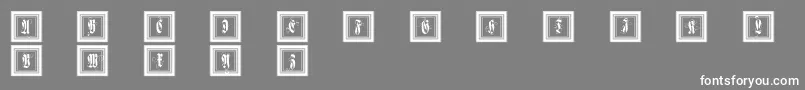 Framedfraxcaps Font – White Fonts on Gray Background