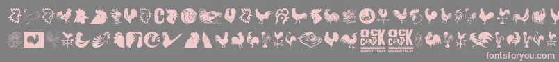 Cock Font – Pink Fonts on Gray Background