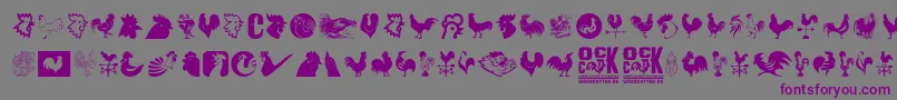 Cock Font – Purple Fonts on Gray Background