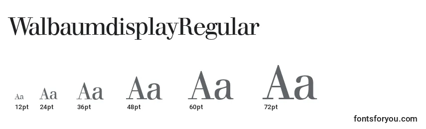 Размеры шрифта WalbaumdisplayRegular