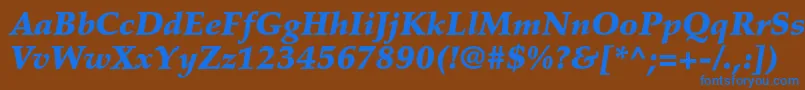 PalatinoltstdBlackitalic Font – Blue Fonts on Brown Background