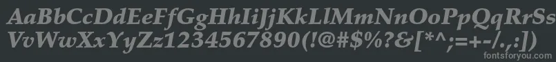 PalatinoltstdBlackitalic-Schriftart – Graue Schriften auf schwarzem Hintergrund
