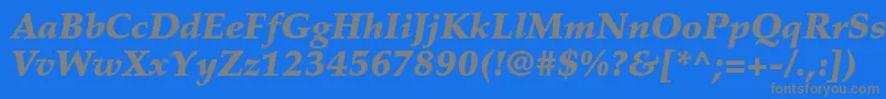 PalatinoltstdBlackitalic Font – Gray Fonts on Blue Background