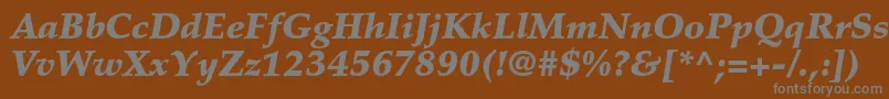 PalatinoltstdBlackitalic Font – Gray Fonts on Brown Background