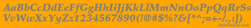 PalatinoltstdBlackitalic Font – Gray Fonts on Orange Background