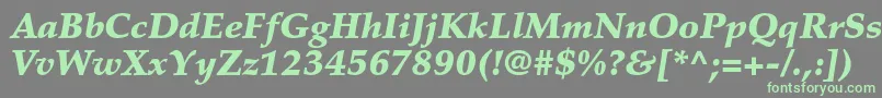 フォントPalatinoltstdBlackitalic – 灰色の背景に緑のフォント