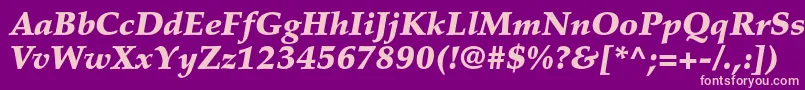 PalatinoltstdBlackitalic Font – Pink Fonts on Purple Background