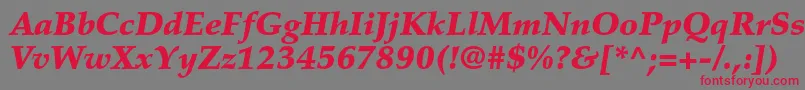 PalatinoltstdBlackitalic Font – Red Fonts on Gray Background