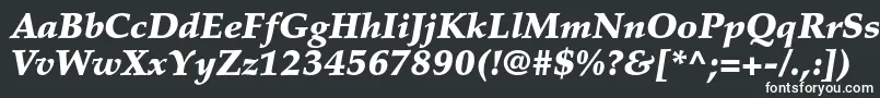 PalatinoltstdBlackitalic-fontti – valkoiset fontit