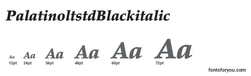 PalatinoltstdBlackitalic Font Sizes