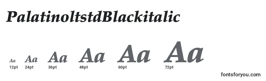 PalatinoltstdBlackitalic-fontin koot