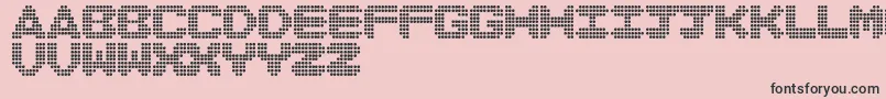 DiscoNeverDies Font – Black Fonts on Pink Background