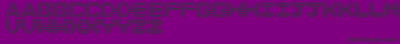 DiscoNeverDies Font – Black Fonts on Purple Background