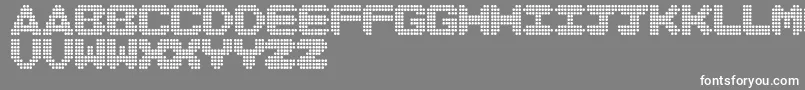 DiscoNeverDies Font – White Fonts on Gray Background