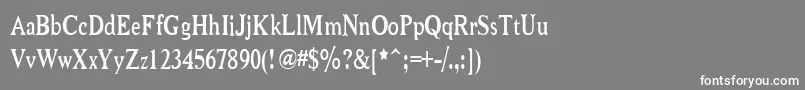 フォントNiewcmn – 灰色の背景に白い文字