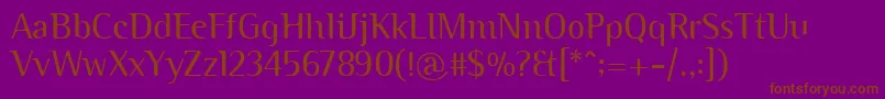 Шрифт BinaryitcTtLight – коричневые шрифты на фиолетовом фоне