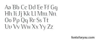 BinaryitcTtLight Font