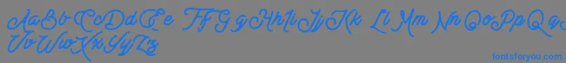 BesttersSupplyDemo-Schriftart – Blaue Schriften auf grauem Hintergrund