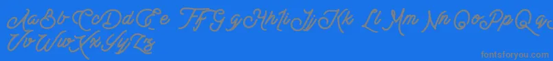 BesttersSupplyDemo-Schriftart – Graue Schriften auf blauem Hintergrund