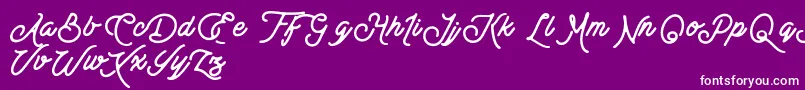 BesttersSupplyDemo-Schriftart – Weiße Schriften auf violettem Hintergrund