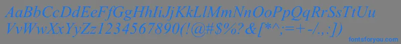 TimesNewRomI Font – Blue Fonts on Gray Background