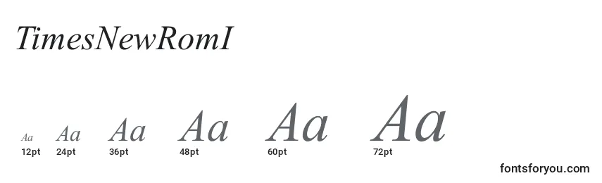 TimesNewRomI Font Sizes