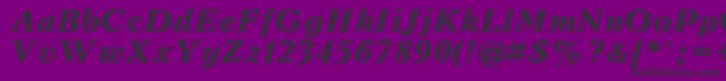 PeterburgBoldItalic Font – Black Fonts on Purple Background