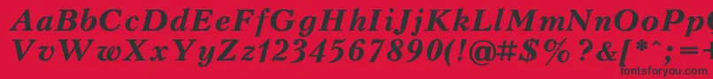 PeterburgBoldItalic Font – Black Fonts on Red Background