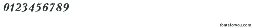 PeterburgBoldItalic Font – Fonts for Numbers and Digits
