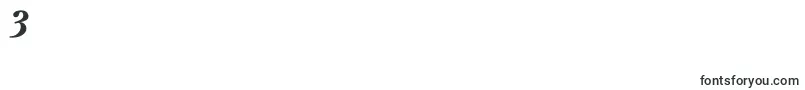 PeterburgBoldItalic Font – Fonts for Digit 3