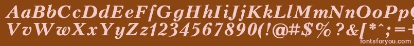 PeterburgBoldItalic Font – Pink Fonts on Brown Background