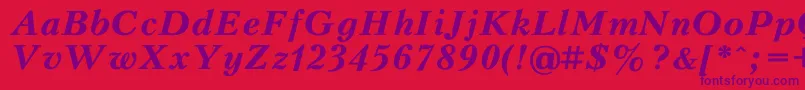 PeterburgBoldItalic Font – Purple Fonts on Red Background