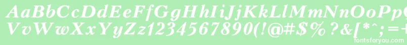 PeterburgBoldItalic Font – White Fonts on Green Background