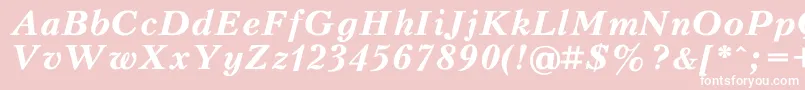 PeterburgBoldItalic Font – White Fonts on Pink Background