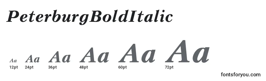 Размеры шрифта PeterburgBoldItalic