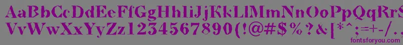 フォントABodoninovabrkBold – 紫色のフォント、灰色の背景