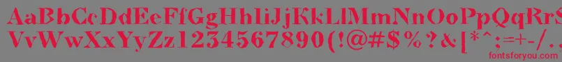 ABodoninovabrkBold Font – Red Fonts on Gray Background