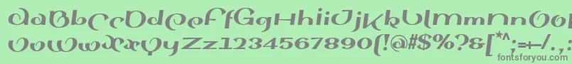 SinahsansLtBlackItalic Font – Gray Fonts on Green Background