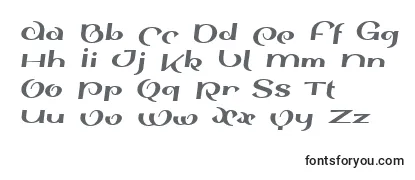 Review of the SinahsansLtBlackItalic Font