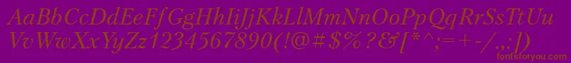 PetersburgosttItalic Font – Brown Fonts on Purple Background