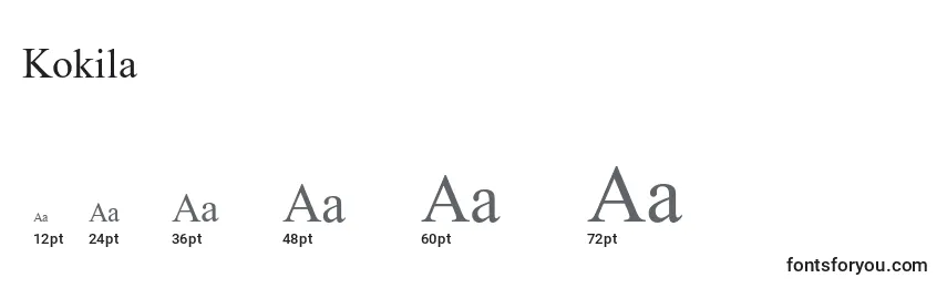 Размеры шрифта Kokila