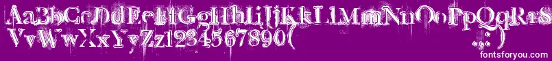 Retrorockposter Font – White Fonts on Purple Background