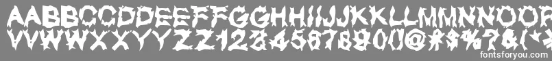フォントUglyLover – 灰色の背景に白い文字
