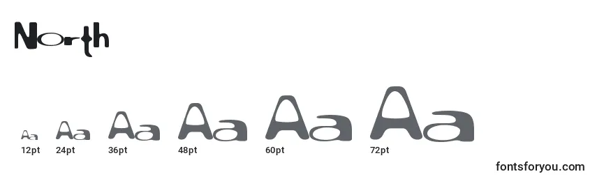 North Font Sizes