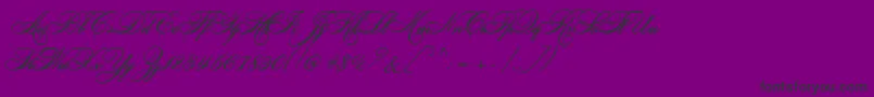 LudvigVanBethoveen Font – Black Fonts on Purple Background