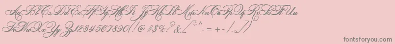 LudvigVanBethoveen Font – Gray Fonts on Pink Background