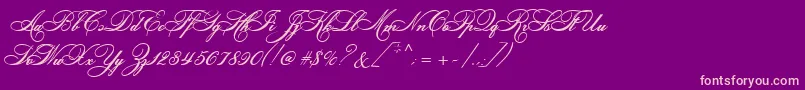 LudvigVanBethoveen Font – Pink Fonts on Purple Background