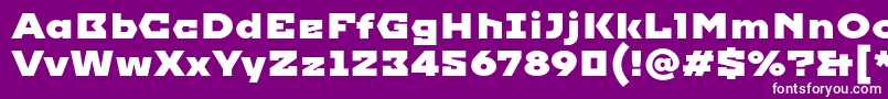 Imperial Font – White Fonts on Purple Background