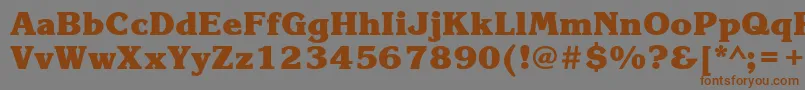 KorinnablackcttBold Font – Brown Fonts on Gray Background