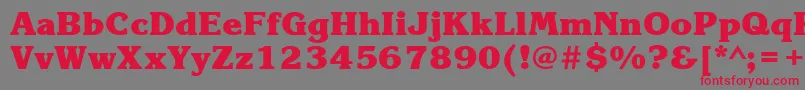 KorinnablackcttBold Font – Red Fonts on Gray Background